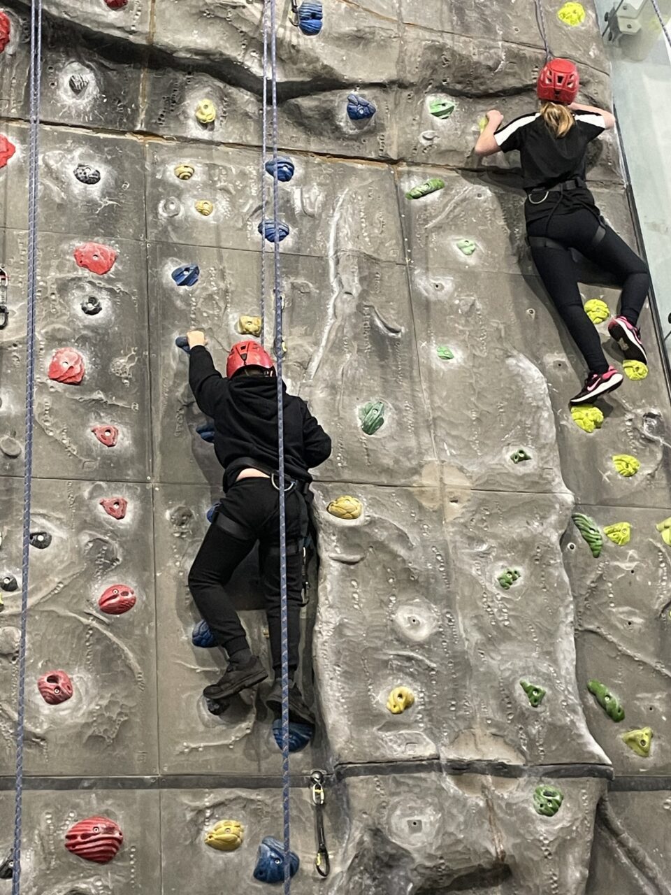 February 2026 Newsletter - #TNHAway